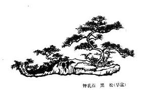 black and white chinese tree