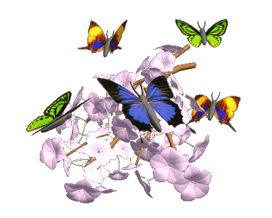 moving butterflies